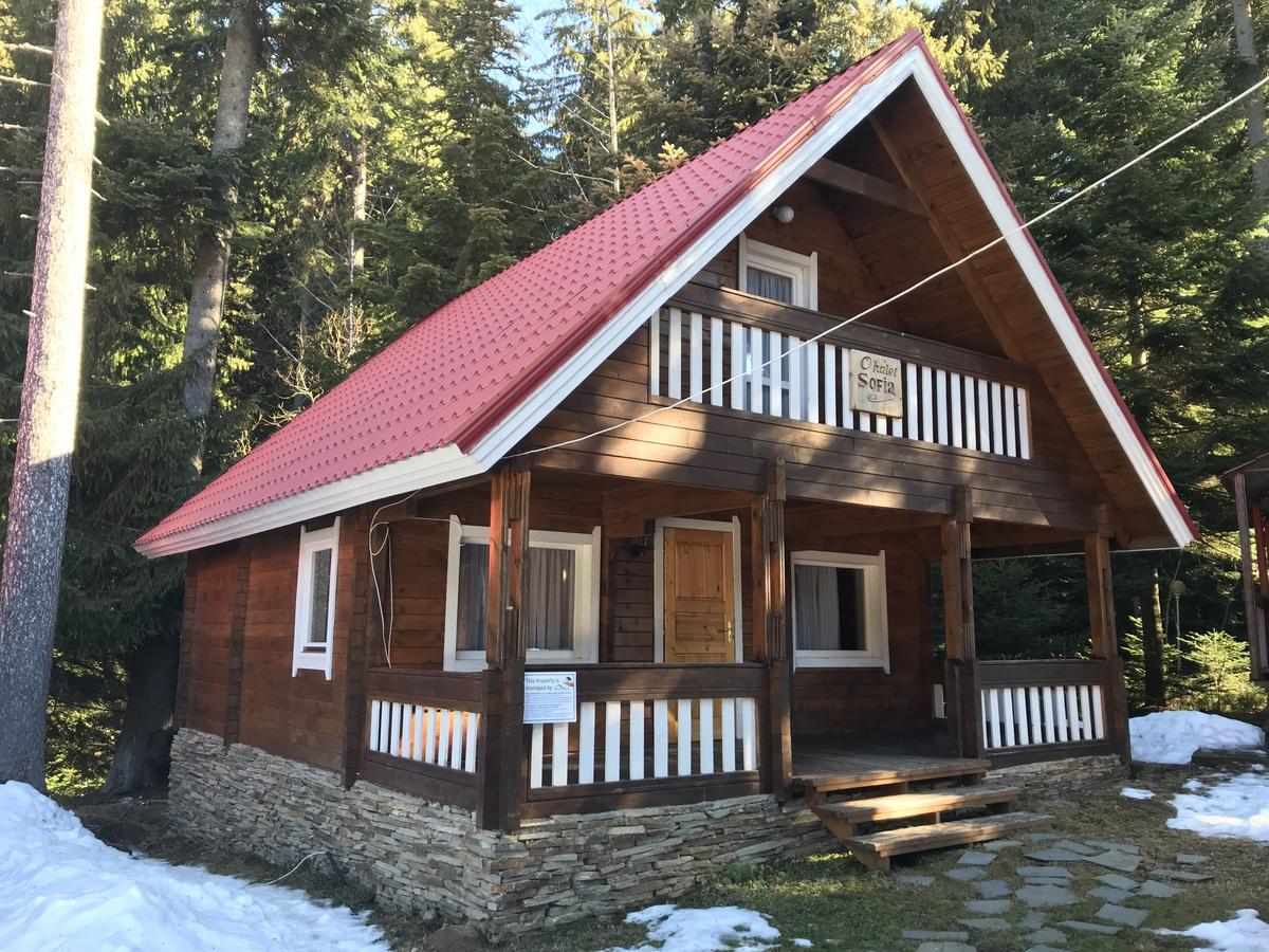 Chalet Sofia Borowez Exterior foto